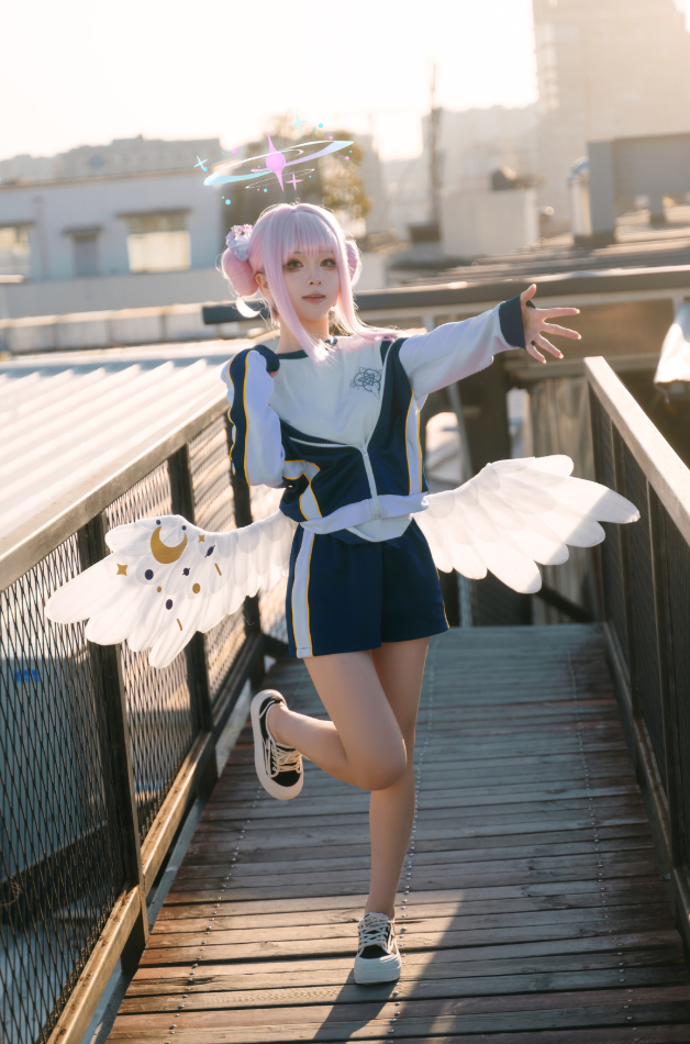 矢量鱼高清美图合集 ,极简主义写真风格的独特魅力!