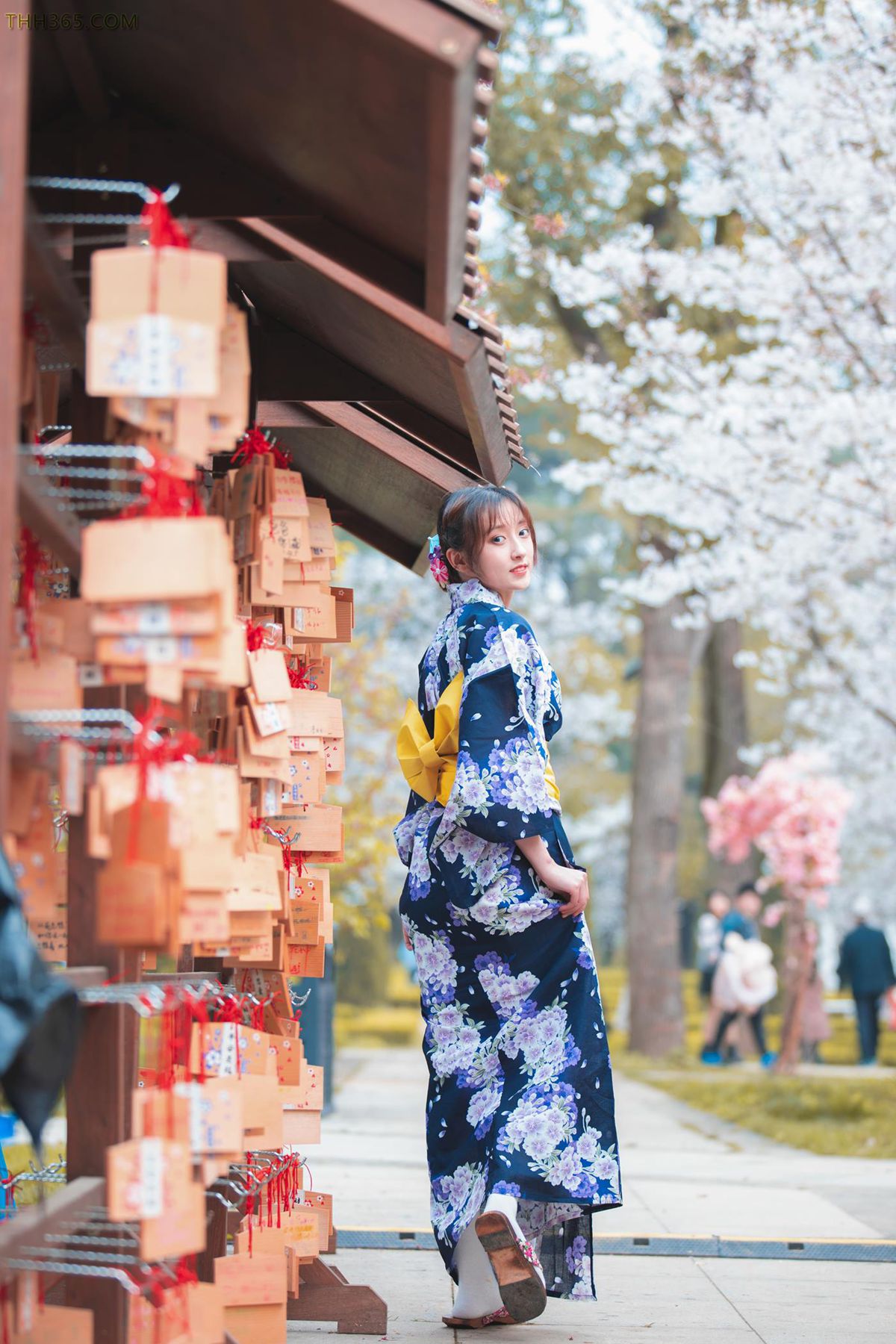 冬马路纱精品写真图集，【樱园浴衣】东方韵味的视觉盛宴！